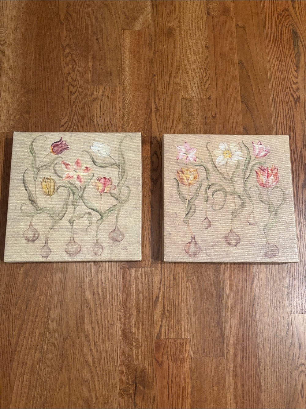 Dancing Bulbs by Cheri Blum